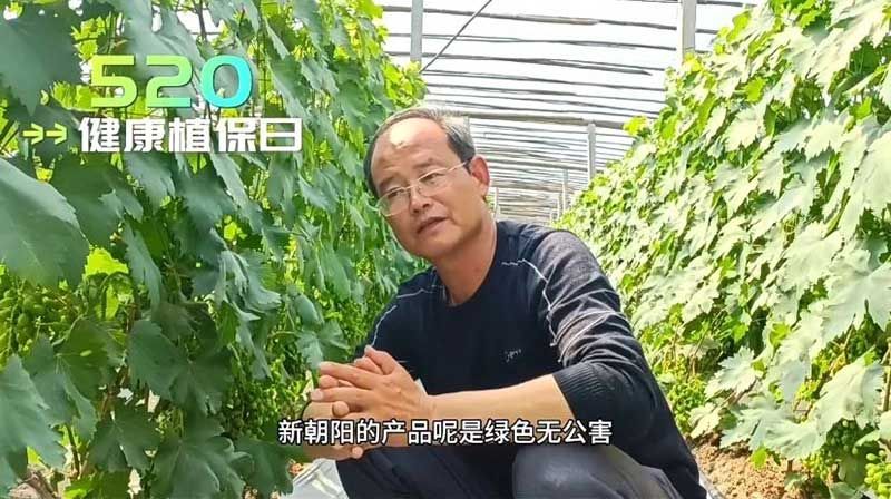 520健康植保日——擁抱綠色農(nóng)業(yè)，我們在行動