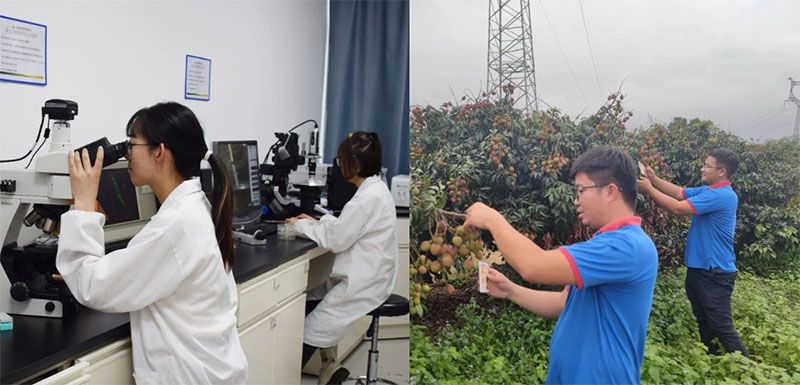 打造新朝陽生物科技“五張名片”,服務農業高質量發展!